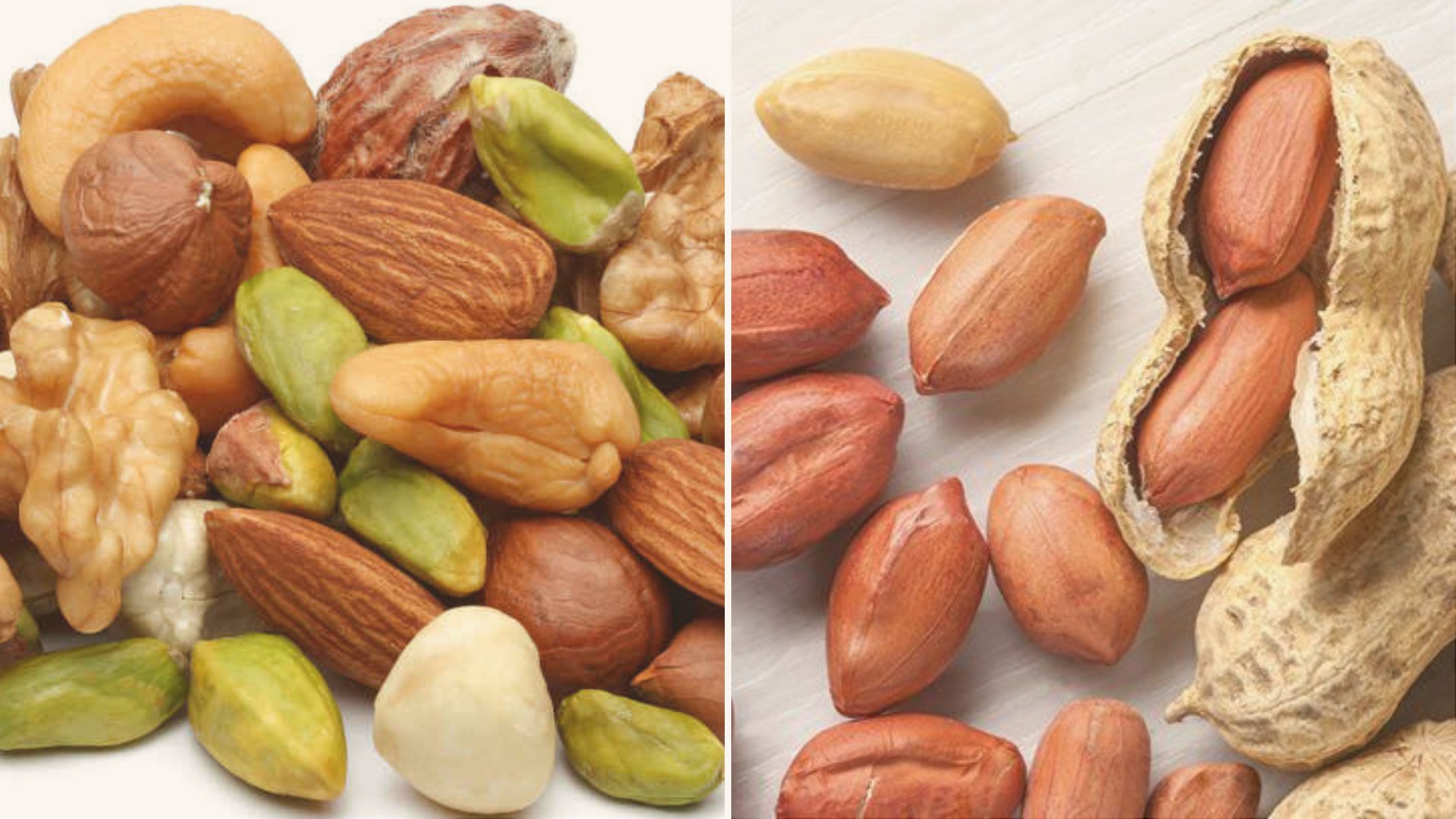 A Focus On Peanuts, Tree Nuts, And Pine Nuts, To Not Go Nuts